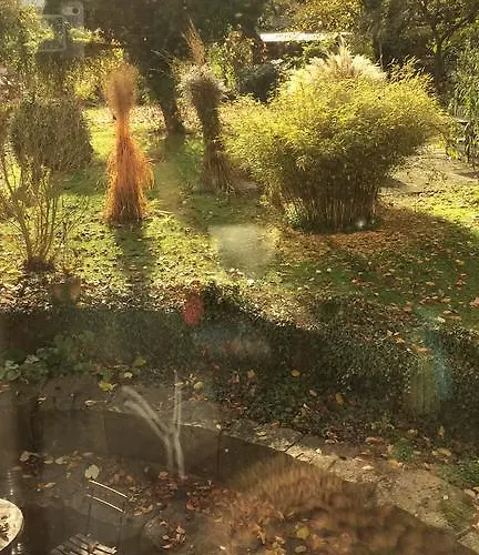 アパート カッセル *